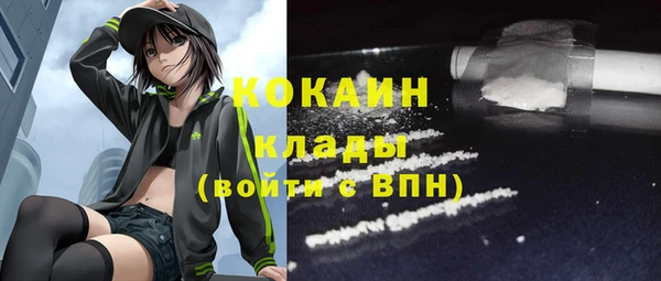 прущая мука Ельня