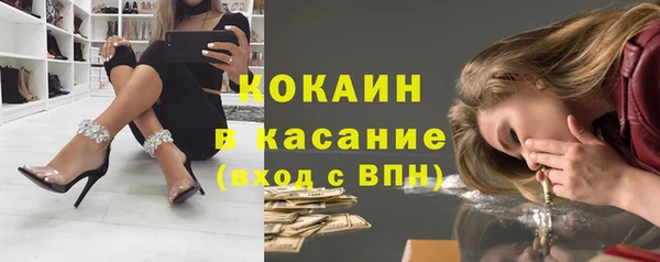 прущая мука Ельня