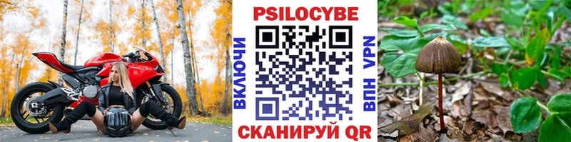 Купить закладки  Голицыно  Галлюциногенные грибы Cubensis 